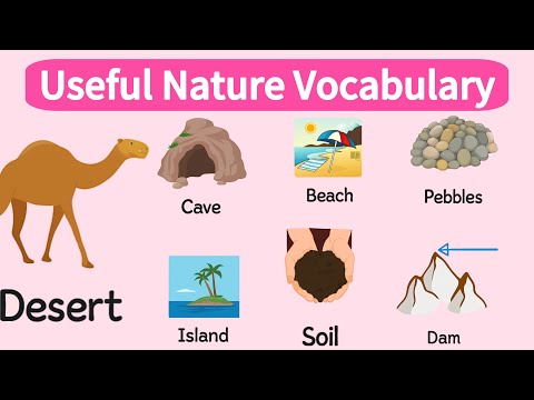🍃Nature Words🔥Useful Nature Vocabulary 🌳 Learn English Vocabulary with Sentences 🗣️ Learn English 