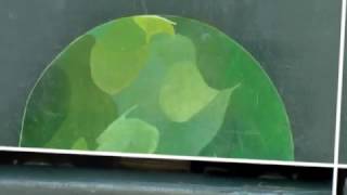 Circulatory System - Elastic Emperor Coronation