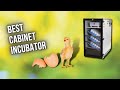 Best Cabinet Incubator — 5 Best Egg Incubator 2022