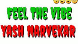 Feel The Vibe - Yash Narvekar | Akasa | (Lyrics video)
