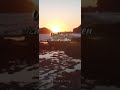 Morning Vibes Melting Song Whatsapp Status Nature Lovers Forver