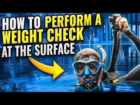 Scuba Diving: How to Perform a Weight Check at the Surface | Black Turtle Dive