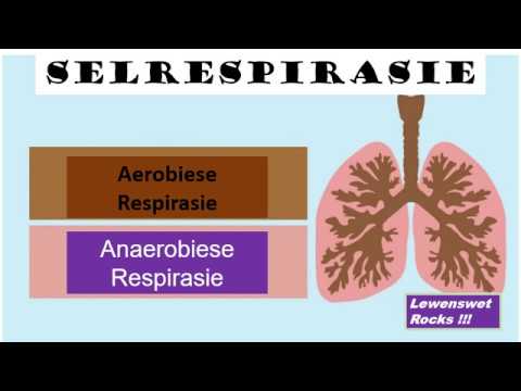 LEWENSWETENSKAP GRAAD 11: 25 Mei 2020 - periode 7 (25117)
