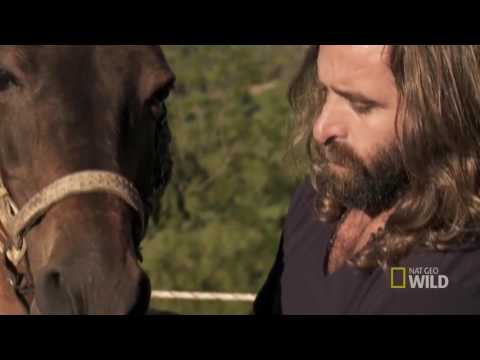 O Domador de Cavalo com Martin   Canela, Capuchino e Malhado