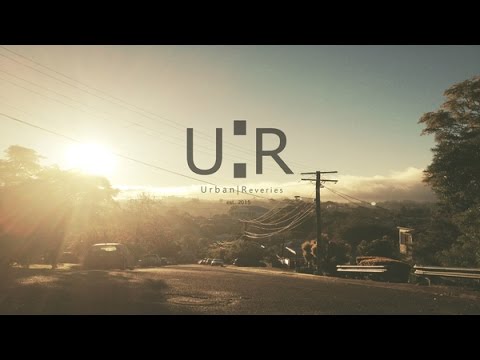 Remy Banks - Q44 feat. A$AP Twelvyy