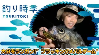 大分をランガン!”プラッキングメバルゲーム”