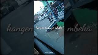 Download lagu story wa salam tresno 30 detik.. mp3