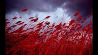 Anan Ryoko - Forever We Will Be feat. Kero One