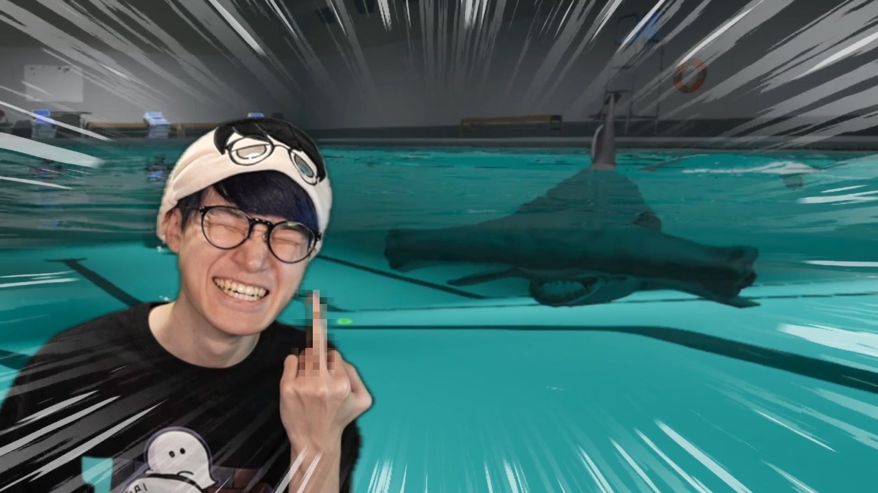 ハンマーヘッドシャークとボク