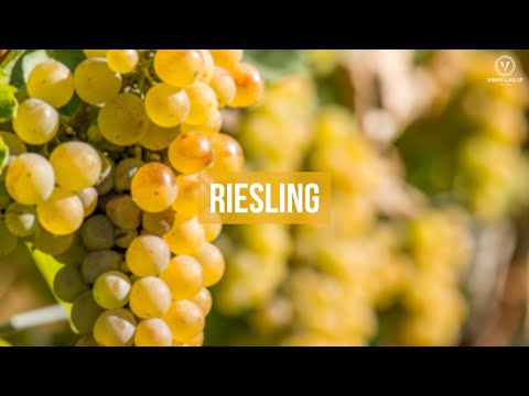 Riesling