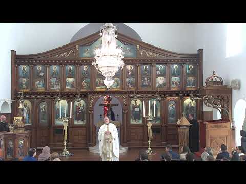 Live at St. Sophia Greek Orthodox Church