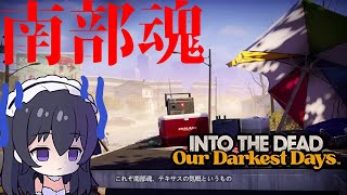 【Into the Dead: Our Darkest Days】これぞ南部魂、テキサスの気概よ【#北乃ガラナ #新人Vtuber】 ゲーム実況 週末 片手間 量産型 VTuber