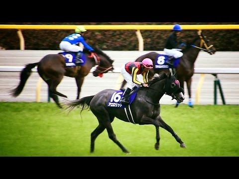 2017.05.07NHKマイルカップ(G1)本馬場入場＆返し馬＠東京競馬場