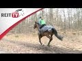 Pferdegesundheit Konditionstraining Im Wald Mit REITTV Teamreiterin Jana