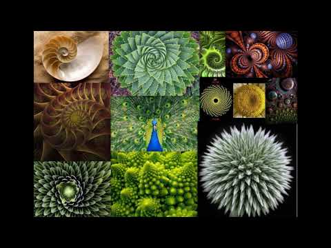 Bernhard Wimmer über die Heilige Geometrie