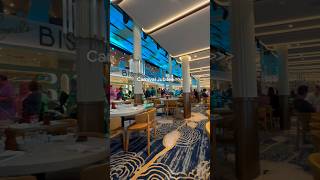 THIS IS ON A SHP?!😱🤩 #cruiseship #travel