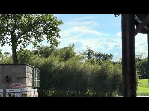 风吹草动时