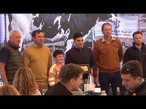 Competencia de vacas lecheras a campo organizada por la Rural de Pozo del Molle