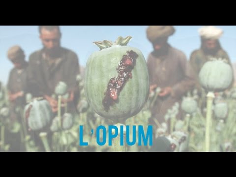 L'Opium,  à travers l'histoire.