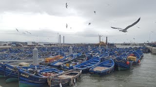 preview picture of video 'Essaouira-Marocco (HD)'