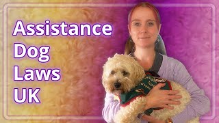 Assistance/Service Dog Laws UK Explained (+ Coco Update)