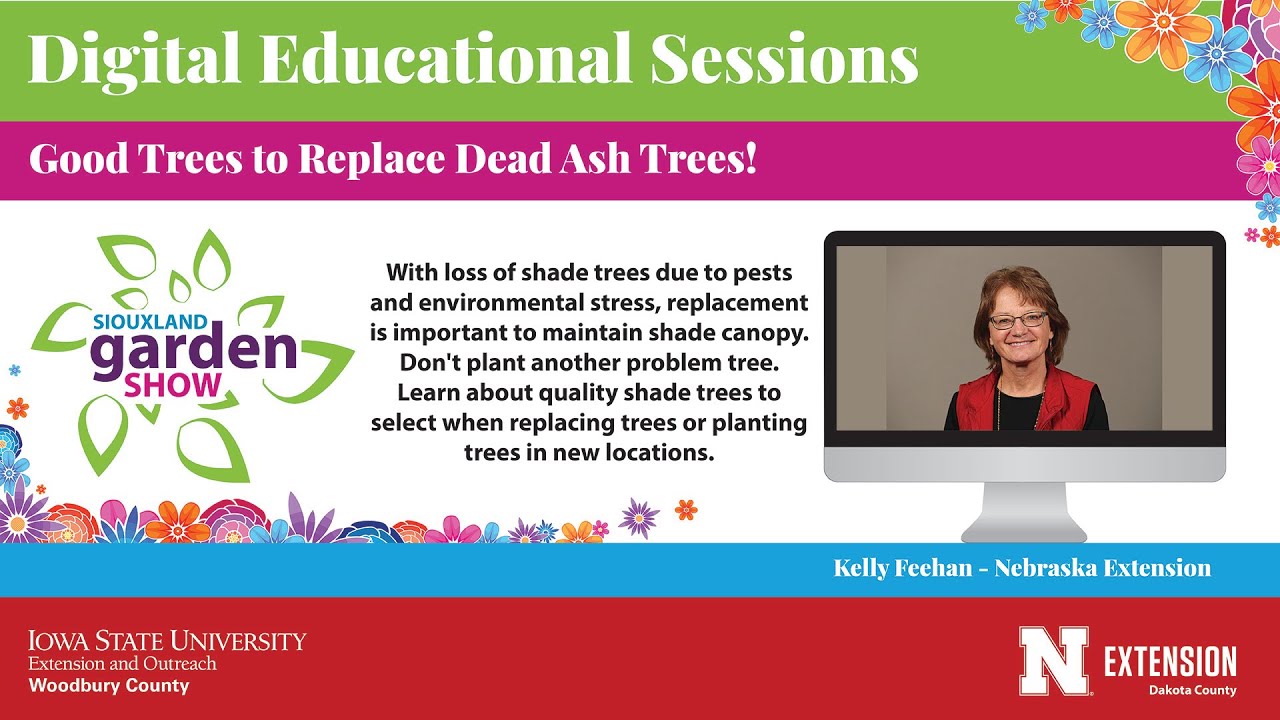 Good Trees to Replace Dead Ash Trees (Kelly Feehan - UNL Extension)