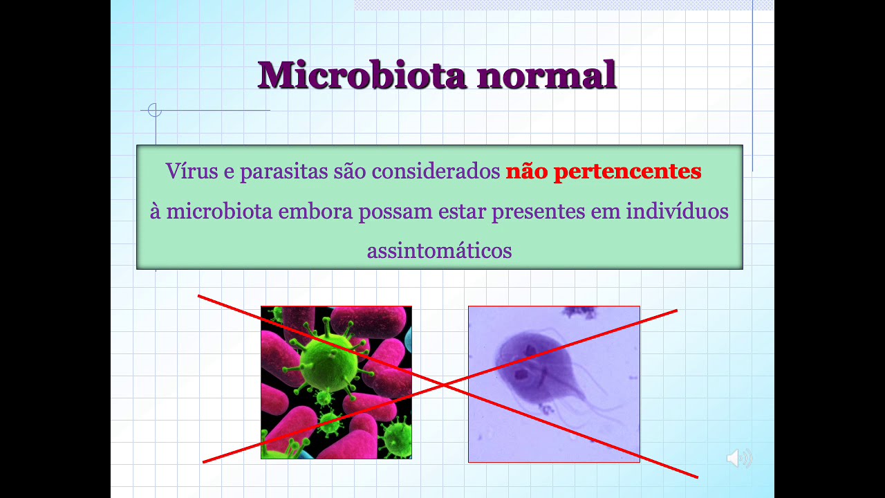 Microbiota normal do corpo - Famed Sobral - Profa. Camila Coelho