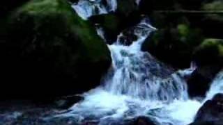 preview picture of video 'Marriman Falls Lake Quinault, Washington'