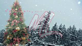 White Christmas  by Anne Murray
