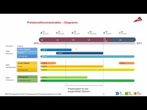 BCC Pricing for Profit – Planung und Verwaltung von Preisstrategie im SAP