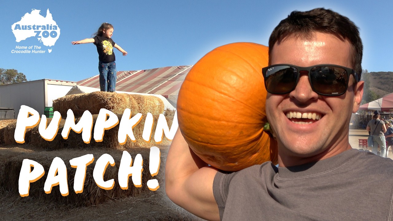Join Bindi Irwin and Grace at the Fall Harvest Festival | Irwin Family Vlog