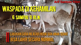Download lagu TIPS AMAN || waspada di kehamilan 6 bln sampai melahirkan kan!! mp3