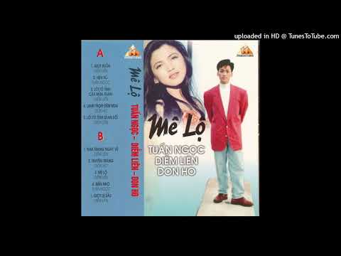 Lời tỏ tình gian dối (Niềm vui và nỗi buồn - bei fun lei hap - 悲歡離合) - Diễm Liên