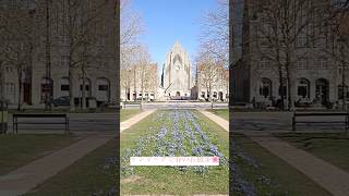 デンマークで春のお散歩🌸