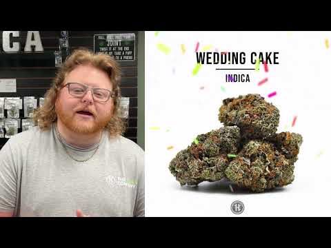 Wedding Cake Strain review: Is it Worth the HONEYMOON phase?