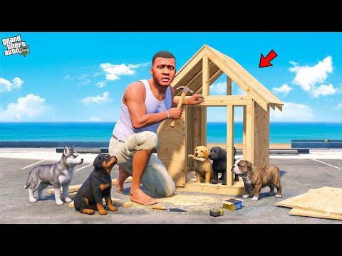 Franklin & Chithappu Build Dog House For Puppies in Gta 5 