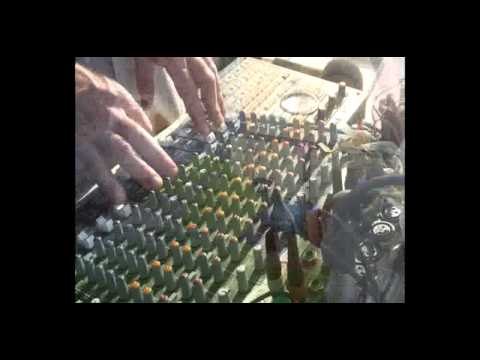 FITAS OF THE FITTEST - Bob Marley "Lively up yourself"