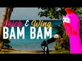 Bam Bam Camila Cabello Ed Sheeran Chick Wing Cover