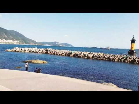 100 continuous pushups by an  athlete at beach  | Travel in Busan Korea