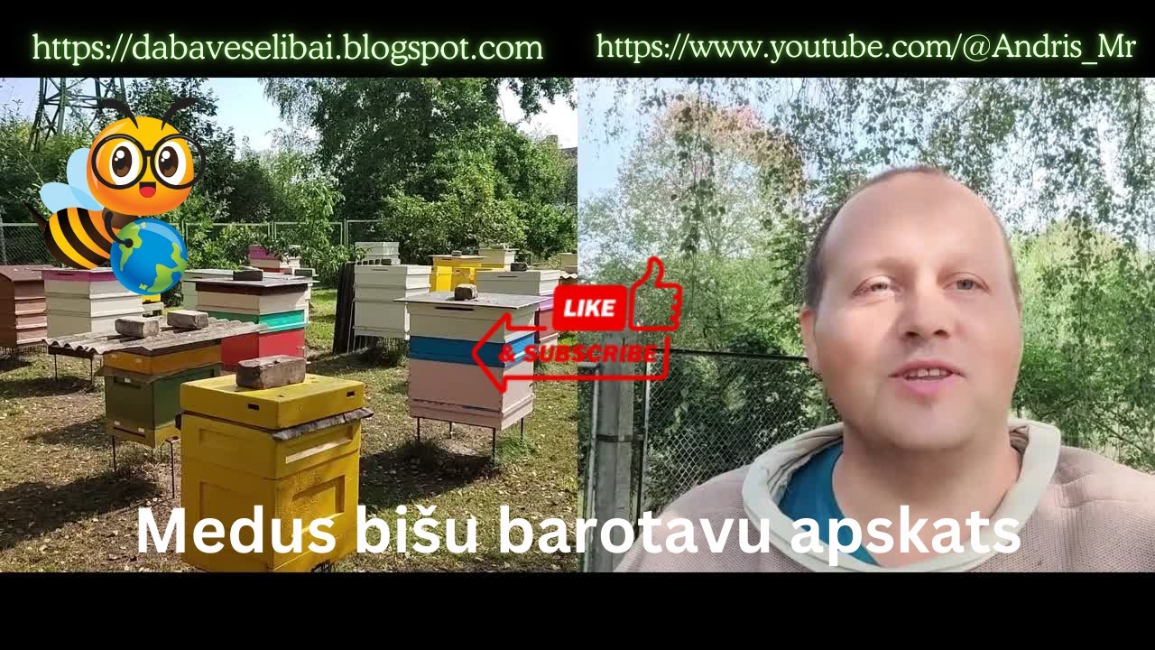 Medus bišu barotavu apskats #biškopība