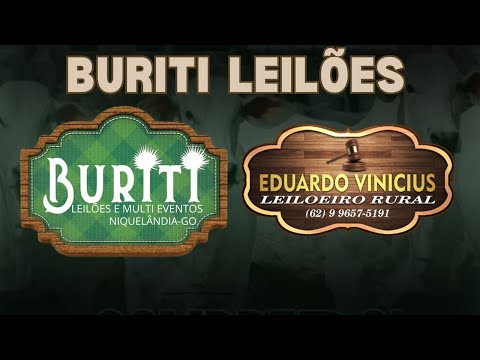 BURITI LEILÕES  - NIQUELANDIA - GO - 06/11/2025