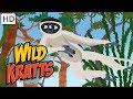 Wild Kratts - Leaping Lemurs Part 2: Special Moves and Scented Clues