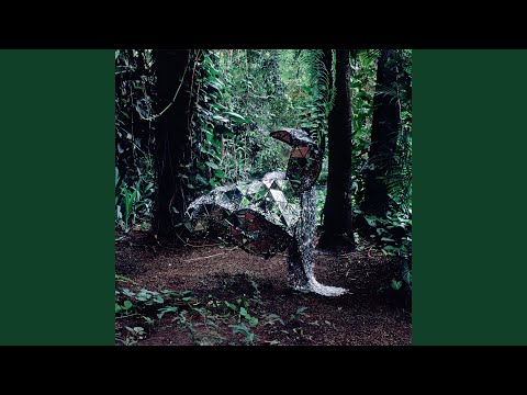 Let's Reggae All Night