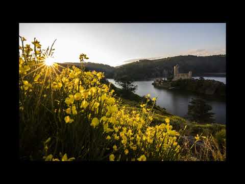 Ma ho - 365 Days Feat ZZ Ward