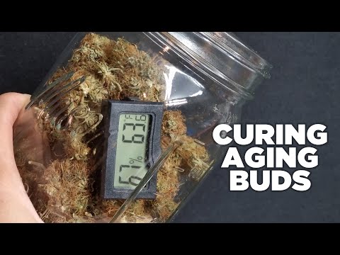 How to Cure Weed like Wine, Aging and Drying your Harvest for THC, Potency and Aroma.