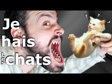 Minute Papillon #72 Je hais les Chats (feat e-penser)