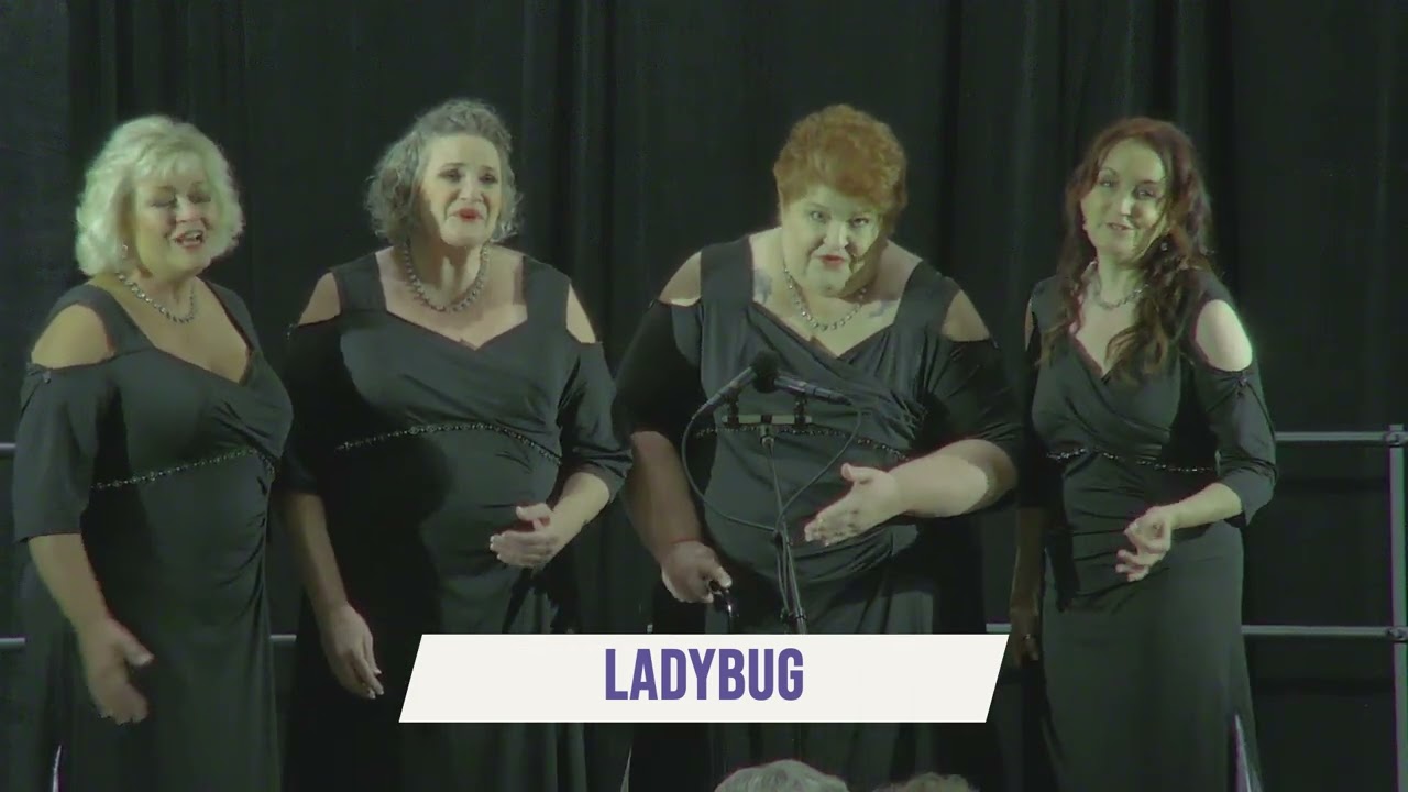 Promotional video thumbnail 1 for Ladybug Quartet