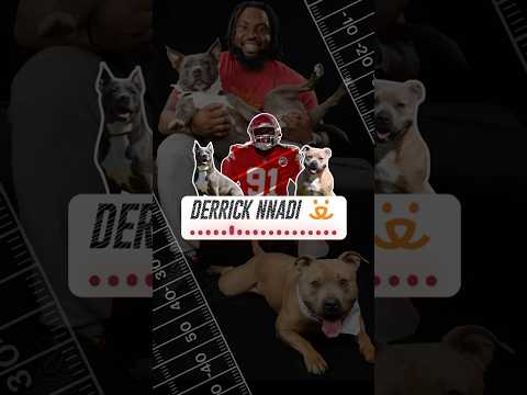 Kansas City Chiefs football player Derrick Nnadi talking about dogs