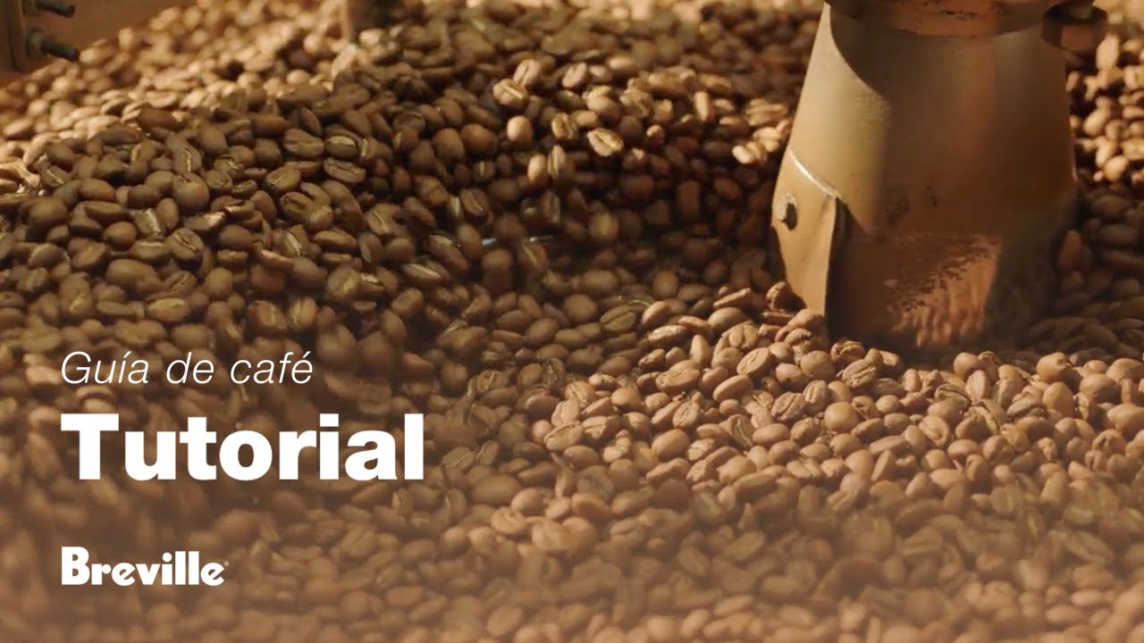 Tutorial de guía de café de Breville - Elegir los granos de café adecuados