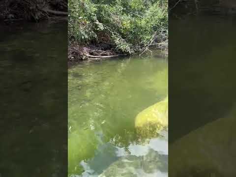 Piscinas naturais São Domingos Caiaponia GO